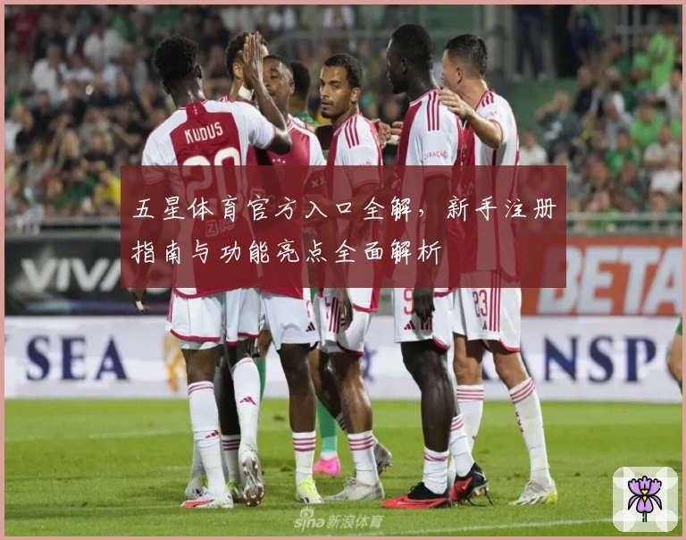 五星体育官方入口全解，新手注册指南与功能亮点全面解析