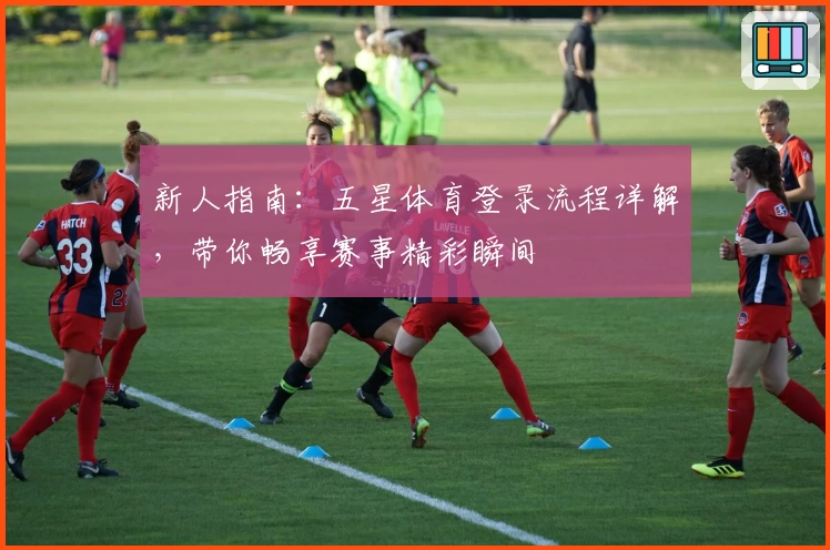 新人指南：五星体育登录流程详解，带你畅享赛事精彩瞬间