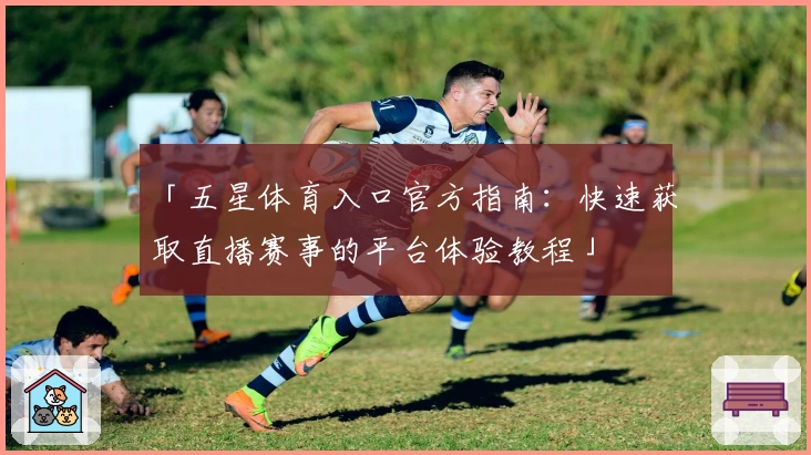 「五星体育入口官方指南：快速获取直播赛事的平台体验教程」