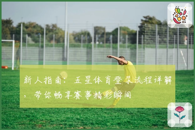 新人指南：五星体育登录流程详解，带你畅享赛事精彩瞬间