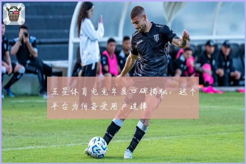 五星体育电竞年度口碑揭秘，这个平台为何备受用户追捧